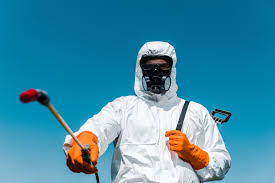 Best Termite Inspection and Treatment  in Kenyon, MN